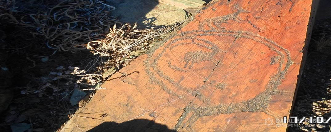 Petroglyphs near Amanbukter