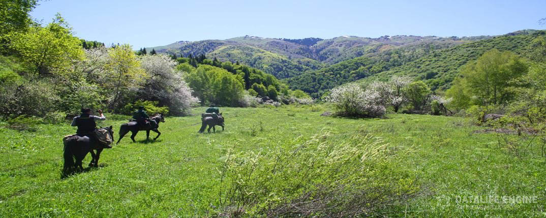 Zhalanash natural boundary