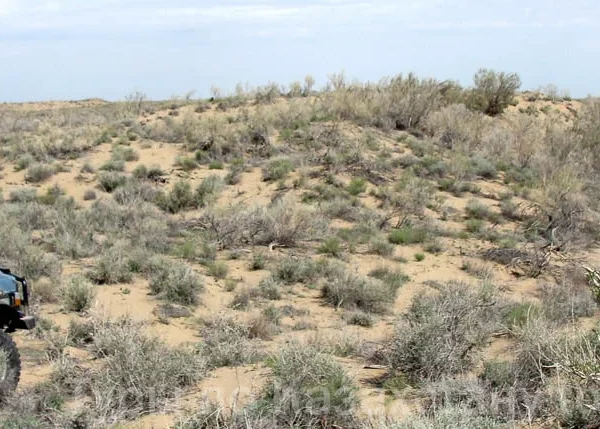 Off-road vehicle technical assistance on the road